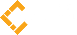 بروفيشنال